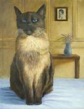 pet portrait, cat portrait