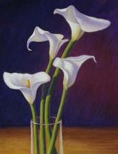 calla lillies,