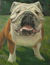 bulldog, dog portrait, pet portrait, dog painting