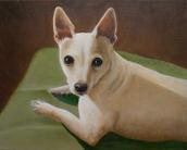 dog portrait