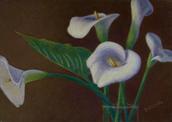 colored pencil, flowers