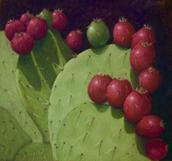 prickly pear cactus
