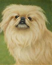 pekinese portrait, pekinese painting